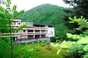 Республиканский детский лечебно-реабилитационный центр Тамиск