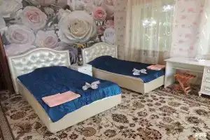 Гостиница «Парнас», Елец