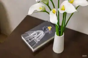 Как Дома на улице Тополиная, Благовещенск