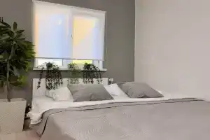 Апартаменты на Калинина 15к1, Чесноковка