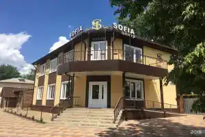 Мини-Отель «София», Данков