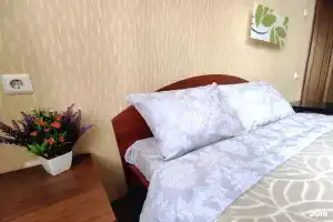 Апартаменты на Болотниковская 36/6, Москва