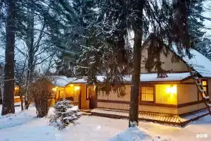 Hooomey, Зеленоградский