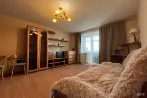 Уютная квартира в самом центре Нижнего Новгорода