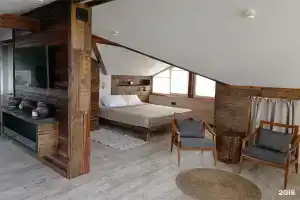 Снежные гуси, Новоснежная