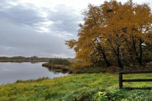 Гостевой дом «Белогорье», Белогорье