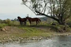 База отдыха «Огонёк», Озеро-Куреево