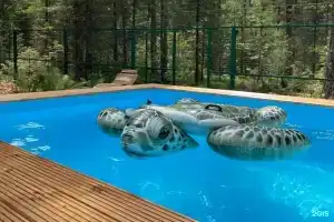 Вилладж Хвоя, Новоснежная
