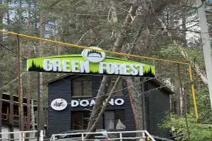 Green forest, Былым