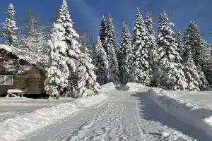 V_Igolkah в Забайкальском крае