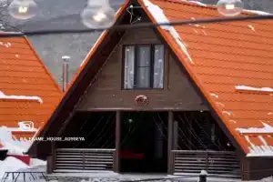 Ёлки Зелёные, Ужгород