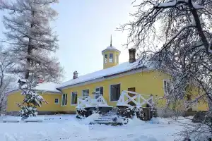 Усадьба «Мишкина Дача», Мерево
