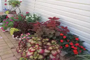 Гостевой дом «Лесная поляна», Джубга