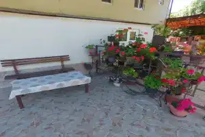 Гостевой дом «Комфорт на Чкалова», Адлер