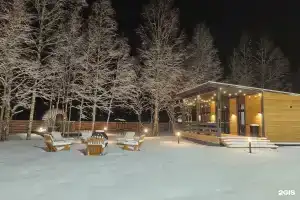 Вьюга Александровское в Выборгском районе