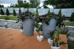 Elephant Home в Тимашевском районе