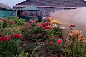 Гостевой дом «Турист», Новохопёрск