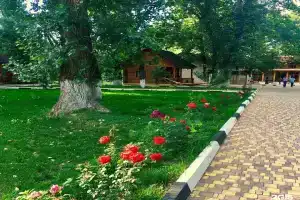 База отдыха «Дубовая Роща», Волгоград