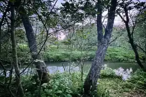 Кемпинг «Лесная тропа», Ильинское