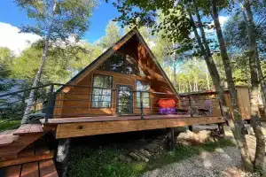 Мой маленький лес в Дмитровском районе