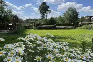 Гостевой Дом «Проект Воздух»