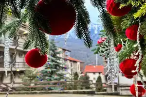 Оплот Апартаменты