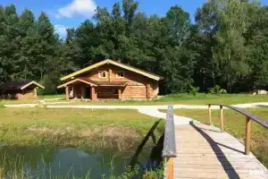 База отдыха «Дубки» в Павлово-Посадском районе