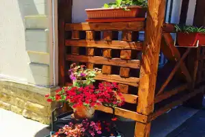 Гостиница «Аристократ», Адлер