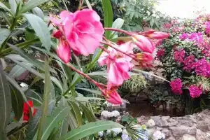 Санаторий «Синегорские минеральные воды»