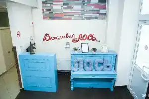 Вежливый лось