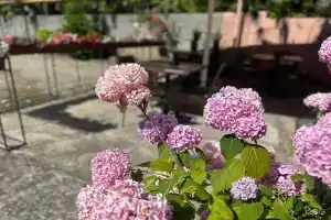 Гостевой дом «Провинция», Лоо