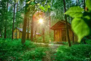 База отдыха «Остров»