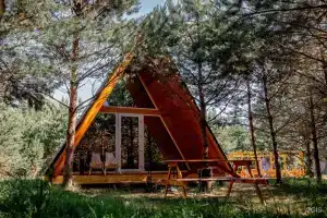 Глэмпинг Эко-отель Forest в Шатурском районе