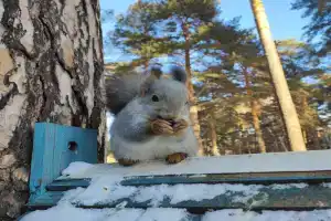 Санаторий «Прокопьевский», Прокопьевск