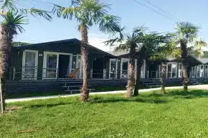 Чайка в Старооскольском районе