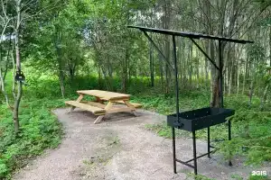 Домик в лесу в Синковицах