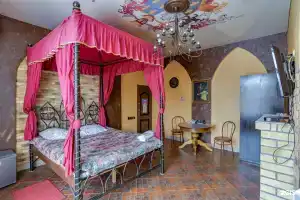 Гостиница «Жар-Птица», Омск