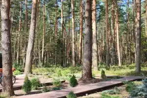 Кемпинг «Олений бор», Калязин