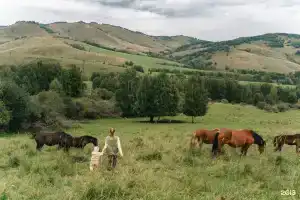 База отдыха «Маральник Алтай», Белокуриха