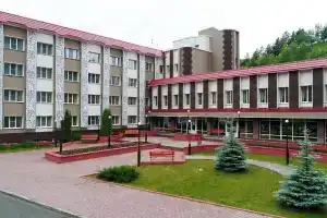 Отель «Борус», Черёмушки