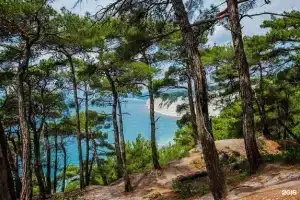 База отдыха «Комплекс Сосновый», Геленджик