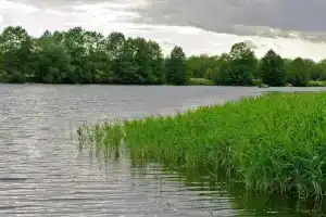 Мини-отель «Усадьба», Советск
