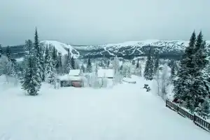 Филин, Шерегеш