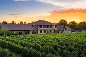 Винотеррия, Новороссийск