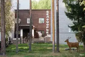 Санаторий «Беломорье», Беломорье