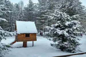 Дом отдыха «Березки», Зеленая Поляна