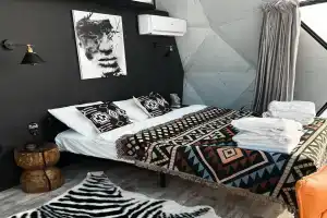 DzenDome