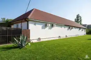 Графит Хаус, Цандрипш