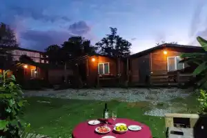 База отдыха «Асса», Пицунда