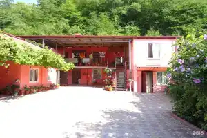 Гостевой дом «Сюзанна», Гагра